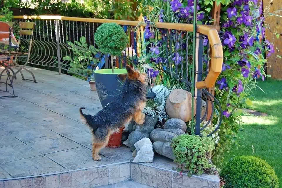 Parajd Szállás | Motel (K0976-14) A kép szerzői jogvédelem alatt állhat. Javasolt a kapcsolatfelvétel a jog tulajdonossal.