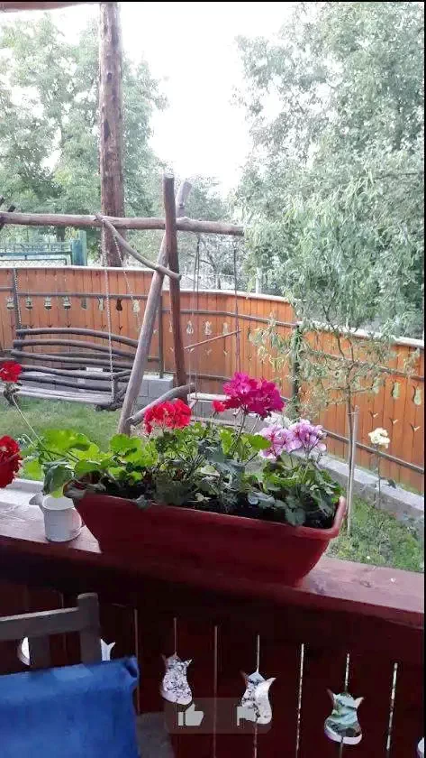 Praid Cazare | Sat de vacanță (K1213-38) Imaginea poate fi supusă drepturilor de autor. Se recomandă contactarea titularului drepturilor.