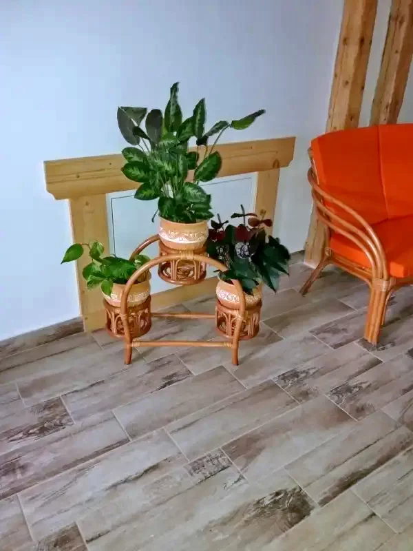 Parajd Szállás | Vendégház (K1351-27) A kép szerzői jogvédelem alatt állhat. Javasolt a kapcsolatfelvétel a jog tulajdonossal. Parajd Szállás | Vendégház (K1351-27) A kép szerzői jogvédelem alatt állhat. Javasolt a kapcsolatfelvétel a jog tulajdonossal.