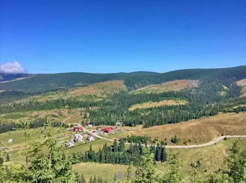 Padis Cazare | Pensiune (K0075-10) Imaginea poate fi supusă drepturilor de autor. Se recomandă contactarea titularului drepturilor. Padis Cazare | Pensiune (K0075-10) Imaginea poate fi supusă drepturilor de autor. Se recomandă contactarea titularului drepturilor.