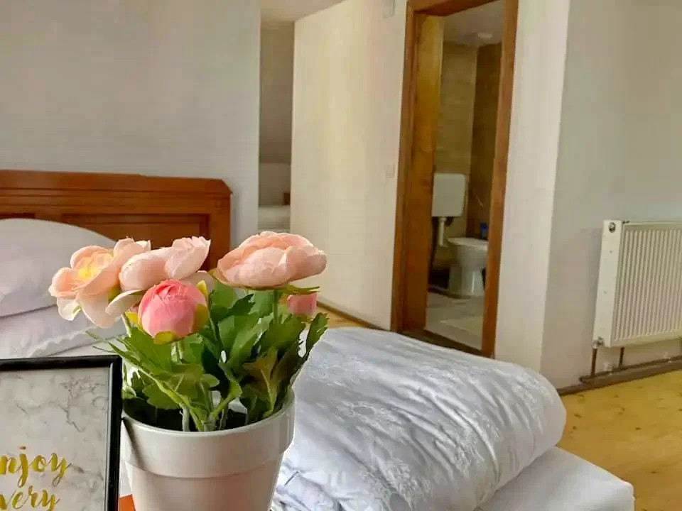 Padis Cazare | Pensiune (K0075-25) Imaginea poate fi supusă drepturilor de autor. Se recomandă contactarea titularului drepturilor. Padis Cazare | Pensiune (K0075-25) Imaginea poate fi supusă drepturilor de autor. Se recomandă contactarea titularului drepturilor.