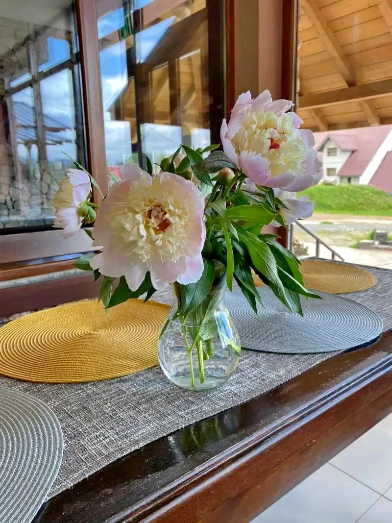 Padis Cazare | Motel (K0075-27) Imaginea poate fi supusă drepturilor de autor. Se recomandă contactarea titularului drepturilor.