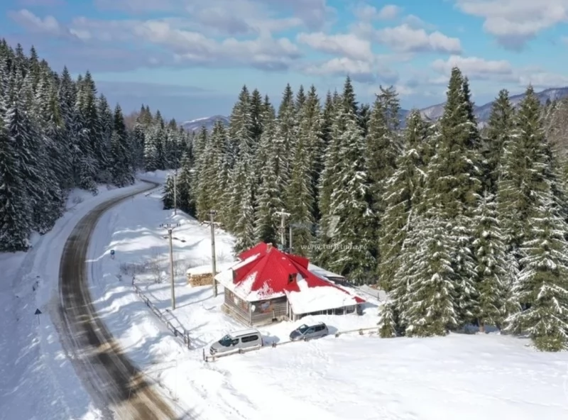 Padis Cazare | Sat de vacanță (K0306-30) Imaginea poate fi supusă drepturilor de autor. Se recomandă contactarea titularului drepturilor.