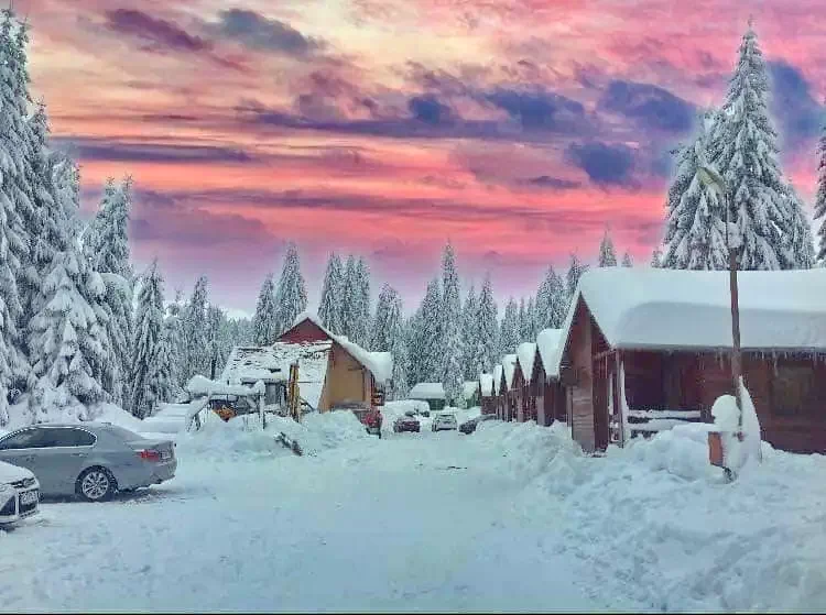 Padis Cazare | Pensiune (K0360-29) Imaginea poate fi supusă drepturilor de autor. Se recomandă contactarea titularului drepturilor. Padis Cazare | Pensiune (K0360-29) Imaginea poate fi supusă drepturilor de autor. Se recomandă contactarea titularului drepturilor.