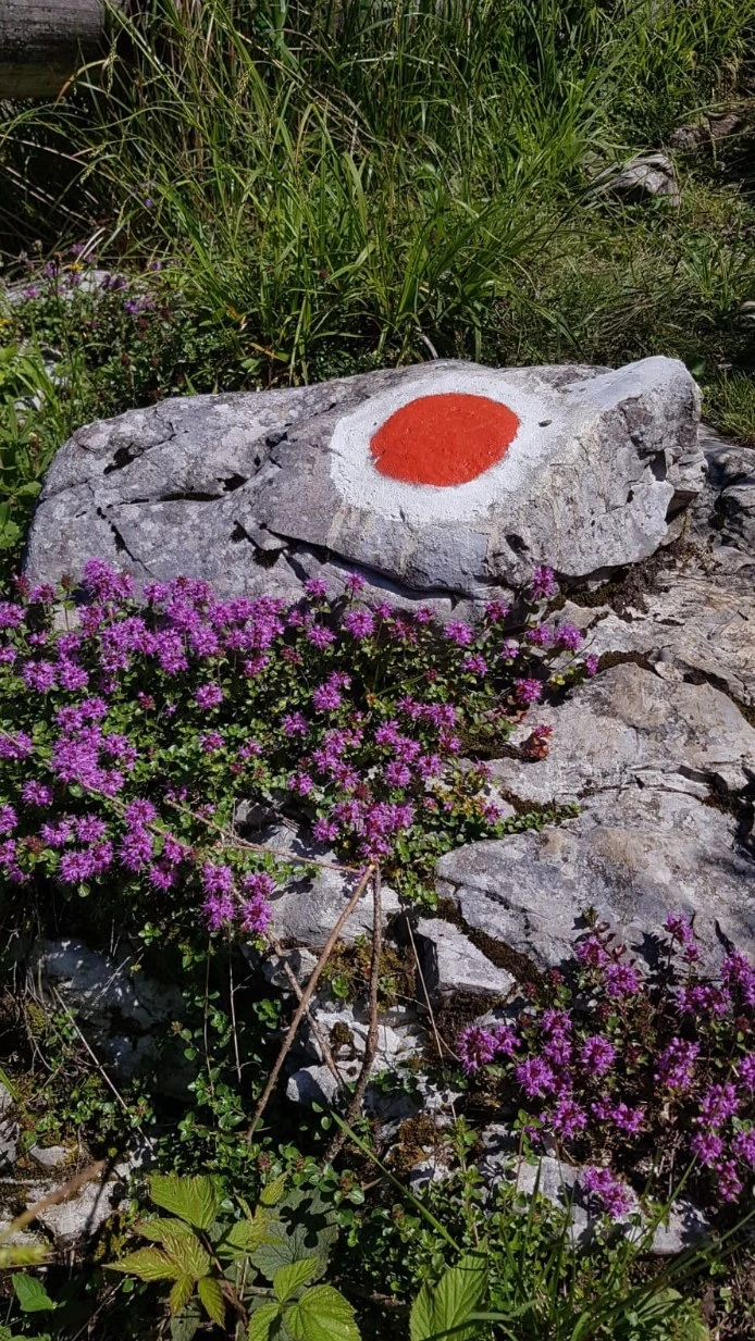 Pádis Szállás | Panzió (K0800-19) A kép szerzői jogvédelem alatt állhat. Javasolt a kapcsolatfelvétel a jog tulajdonossal. Pádis Szállás | Panzió (K0800-19) A kép szerzői jogvédelem alatt állhat. Javasolt a kapcsolatfelvétel a jog tulajdonossal.