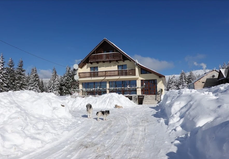 Padis Cazare | Motel (K0800-39) Imaginea poate fi supusă drepturilor de autor. Se recomandă contactarea titularului drepturilor.