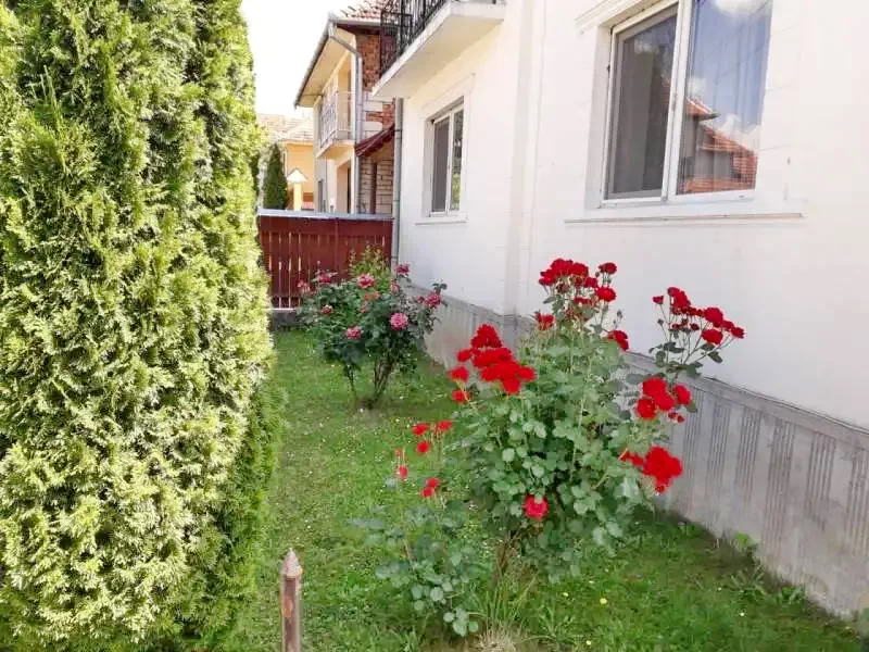 Kiskoh Szállás | Panzió (K0232-7) A kép szerzői jogvédelem alatt állhat. Javasolt a kapcsolatfelvétel a jog tulajdonossal. Kiskoh Szállás | Panzió (K0232-7) A kép szerzői jogvédelem alatt állhat. Javasolt a kapcsolatfelvétel a jog tulajdonossal.