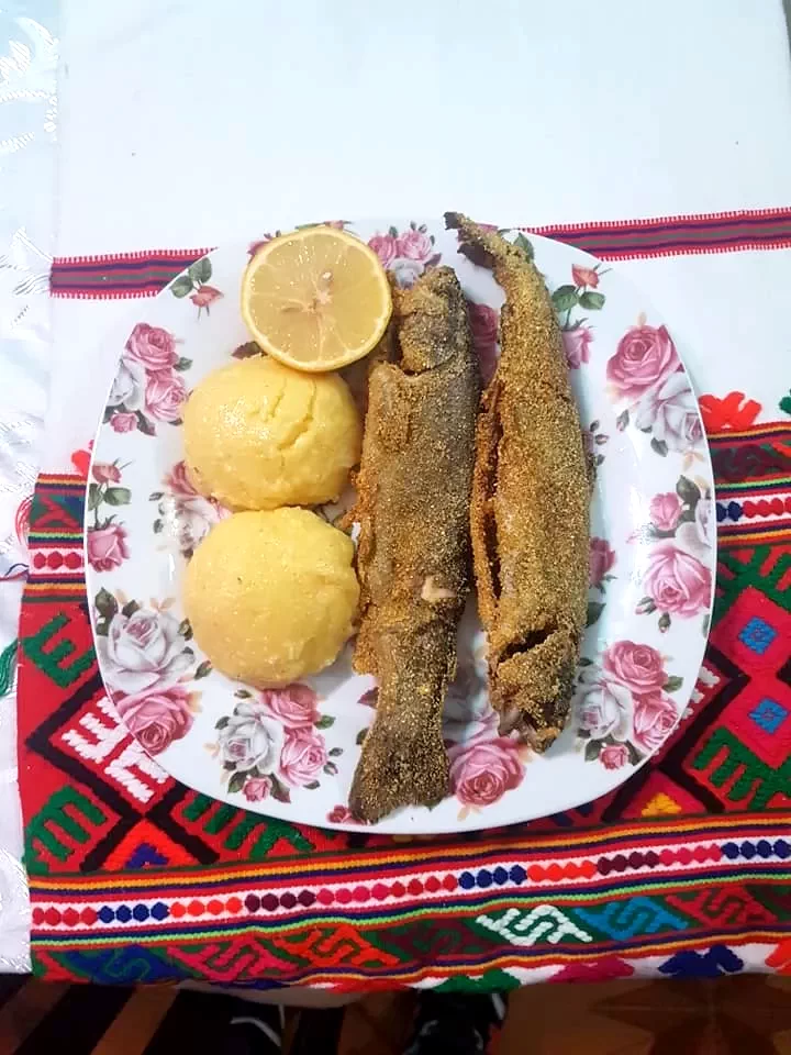 Szállás Chișcău - Pensiunea Anișoara*** | Kiskoh - Anișoara Panzió***. A kép szerzői jogvédelem alatt állhat. Javasolt a kapcsolatfelvétel a jog tulajdonossal.