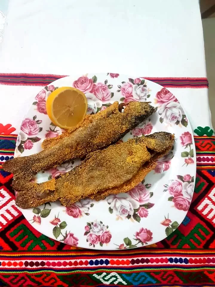 Szállás Chișcău - Pensiunea Anișoara*** | Kiskoh - Anișoara Panzió***. A kép szerzői jogvédelem alatt állhat. Javasolt a kapcsolatfelvétel a jog tulajdonossal.