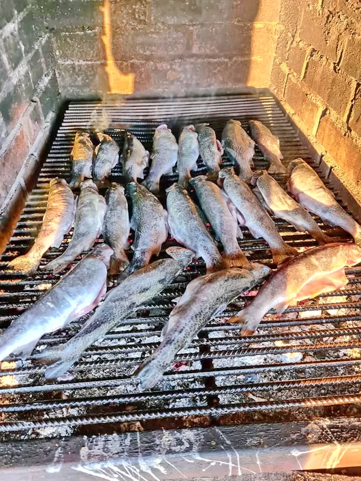 Chișcău Cazare | Motel (K0419-43) Imaginea poate fi supusă drepturilor de autor. Se recomandă contactarea titularului drepturilor.