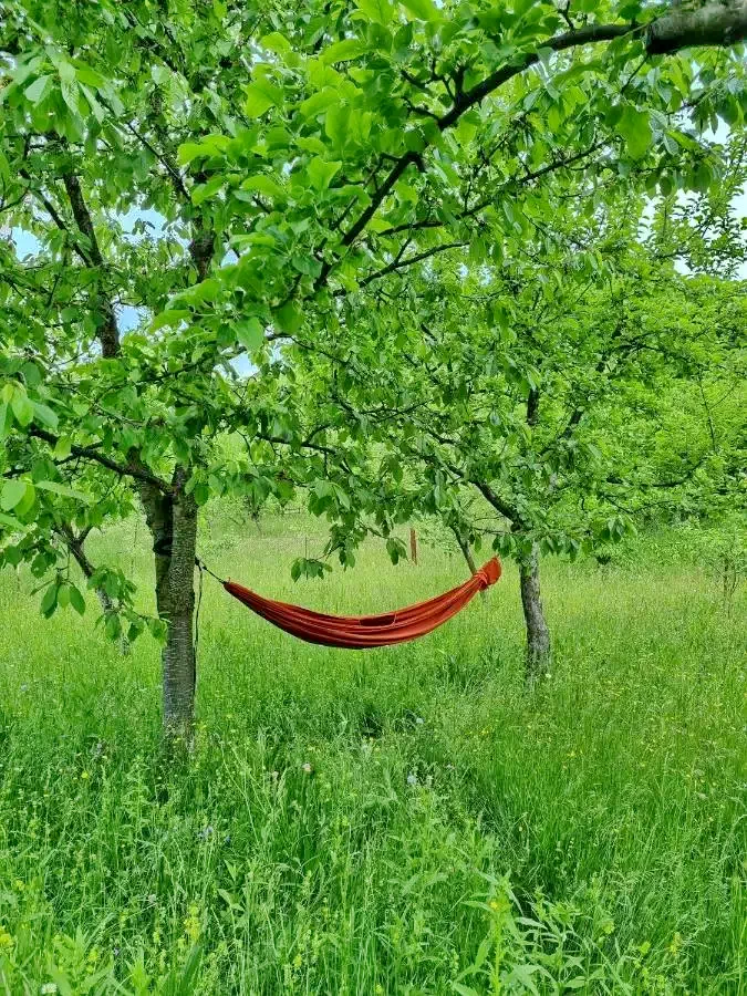 Chișcău Cazare | Sat de vacanță (K0463-25) Imaginea poate fi supusă drepturilor de autor. Se recomandă contactarea titularului drepturilor.