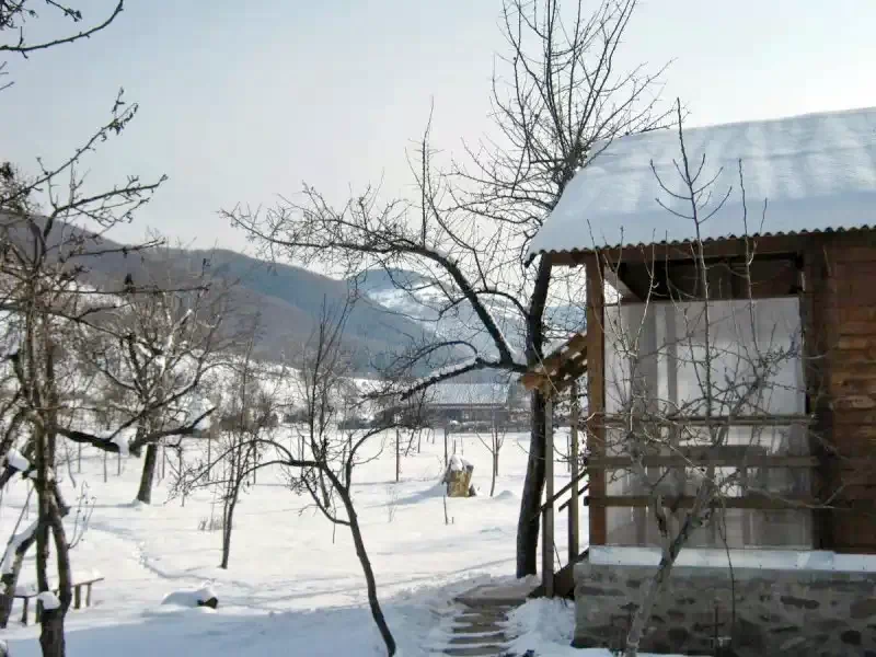 Chișcău Cazare | Sat de vacanță (K0463-43) Imaginea poate fi supusă drepturilor de autor. Se recomandă contactarea titularului drepturilor.