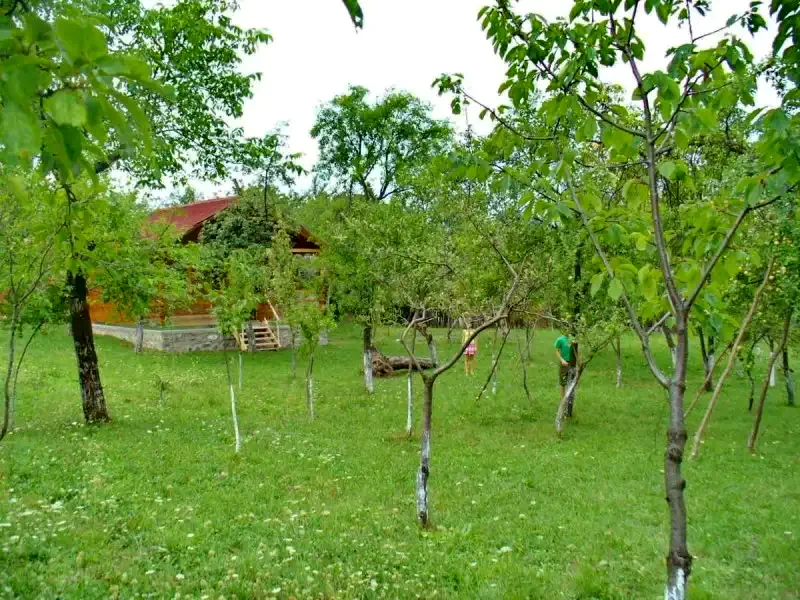 Chișcău Cazare | Cabană (K0463-49) Imaginea poate fi supusă drepturilor de autor. Se recomandă contactarea titularului drepturilor. Chișcău Cazare | Cabană (K0463-49) Imaginea poate fi supusă drepturilor de autor. Se recomandă contactarea titularului drepturilor.