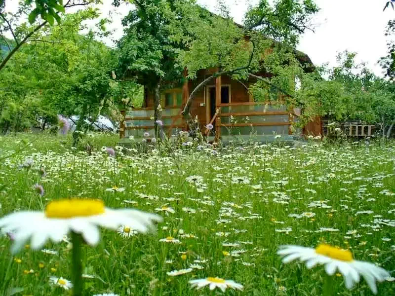 Chișcău Cazare | Cabană (K0463-51) Imaginea poate fi supusă drepturilor de autor. Se recomandă contactarea titularului drepturilor.