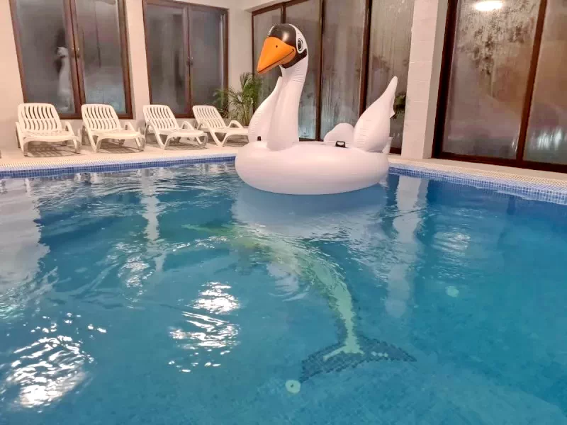 Kiskoh Szállás | Motel (K1431-26) A kép szerzői jogvédelem alatt állhat. Javasolt a kapcsolatfelvétel a jog tulajdonossal.