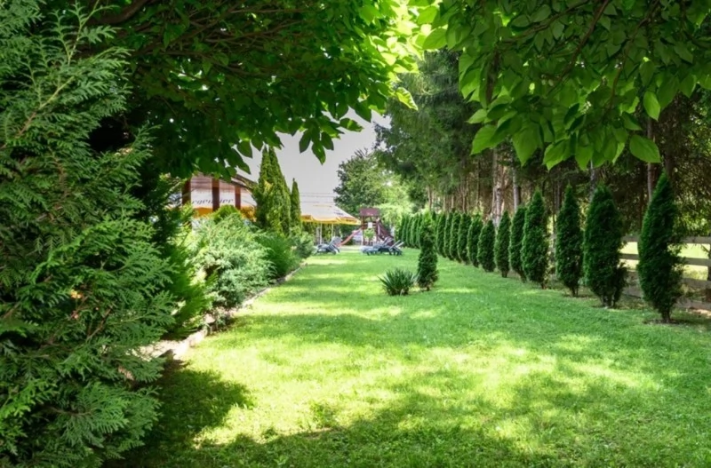 Ocna Șugatag Cazare | Motel (K0765-6) Imaginea poate fi supusă drepturilor de autor. Se recomandă contactarea titularului drepturilor.