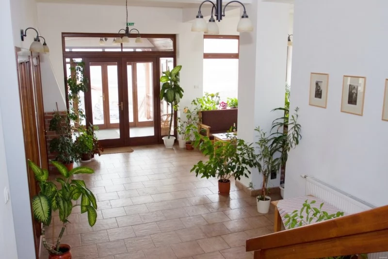 Csíksomlyó, Csíkszereda Szállás | Panzió (K1235-47) A kép szerzői jogvédelem alatt állhat. Javasolt a kapcsolatfelvétel a jog tulajdonossal. Csíksomlyó, Csíkszereda Szállás | Panzió (K1235-47) A kép szerzői jogvédelem alatt állhat. Javasolt a kapcsolatfelvétel a jog tulajdonossal.