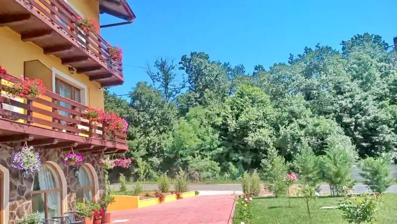 Băile Felix Cazare | Vilă (K0695-26) Imaginea poate fi supusă drepturilor de autor. Se recomandă contactarea titularului drepturilor.