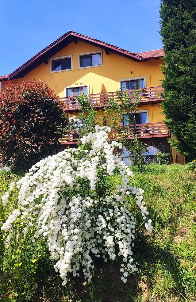 Félixfürdő Szállás | Kemping / turistapihenő (K0695-27) A kép szerzői jogvédelem alatt állhat. Javasolt a kapcsolatfelvétel a jog tulajdonossal.