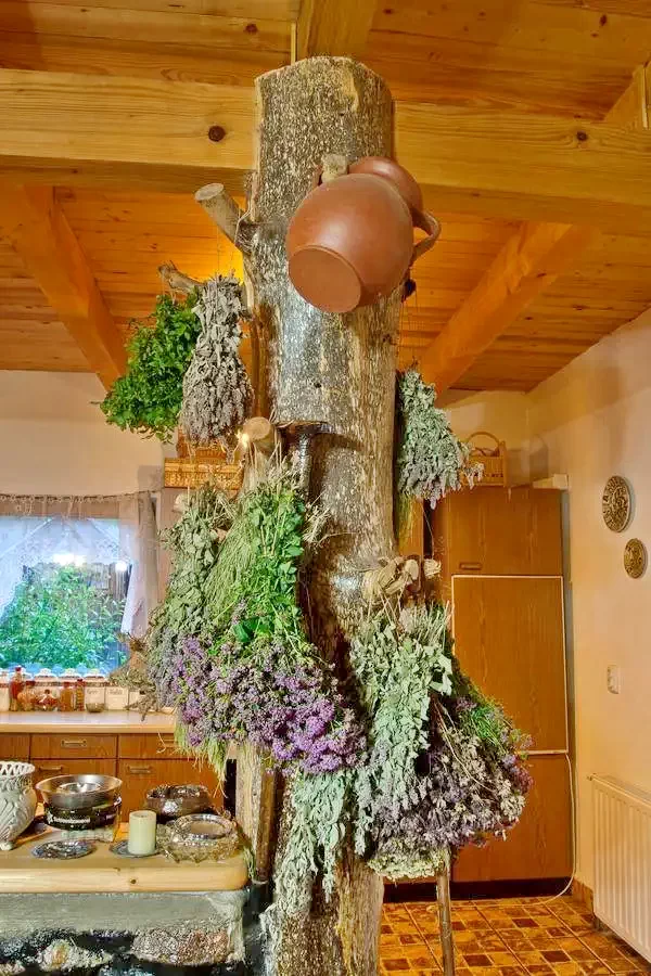 Gheorgheni Cazare | Motel (K0141-9) Imaginea poate fi supusă drepturilor de autor. Se recomandă contactarea titularului drepturilor.