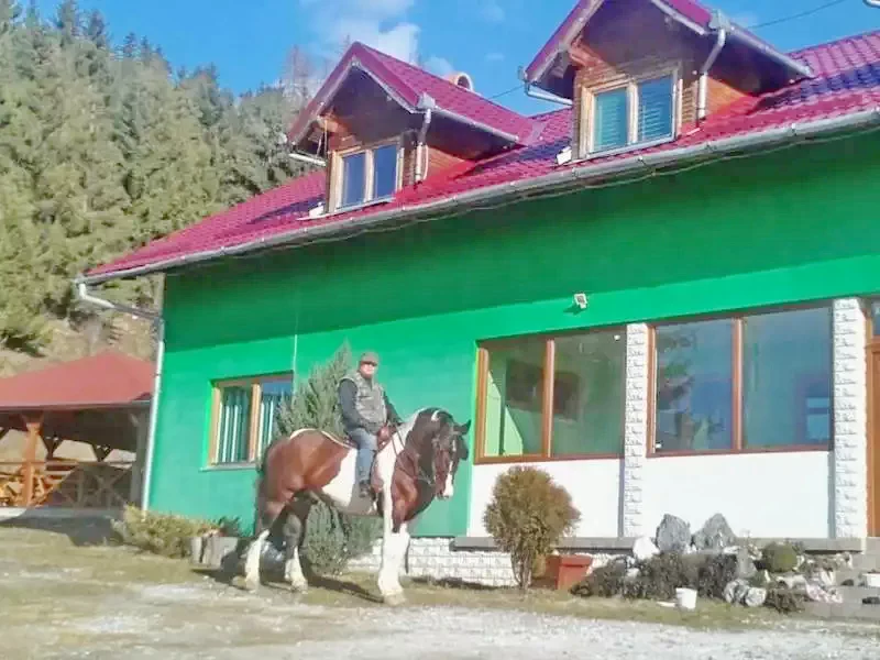 Gheorgheni Cazare | Motel (K0189-1) Imaginea poate fi supusă drepturilor de autor. Se recomandă contactarea titularului drepturilor.