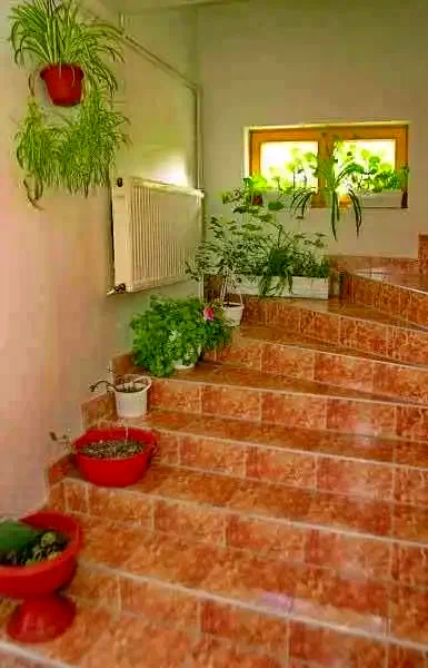 Gyergyószentmiklós Szállás | Motel (K0189-12) A kép szerzői jogvédelem alatt állhat. Javasolt a kapcsolatfelvétel a jog tulajdonossal.