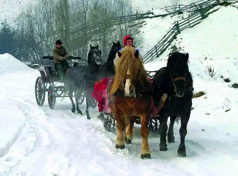 Gheorgheni Cazare | Pensiune (K0189-20) Imaginea poate fi supusă drepturilor de autor. Se recomandă contactarea titularului drepturilor.