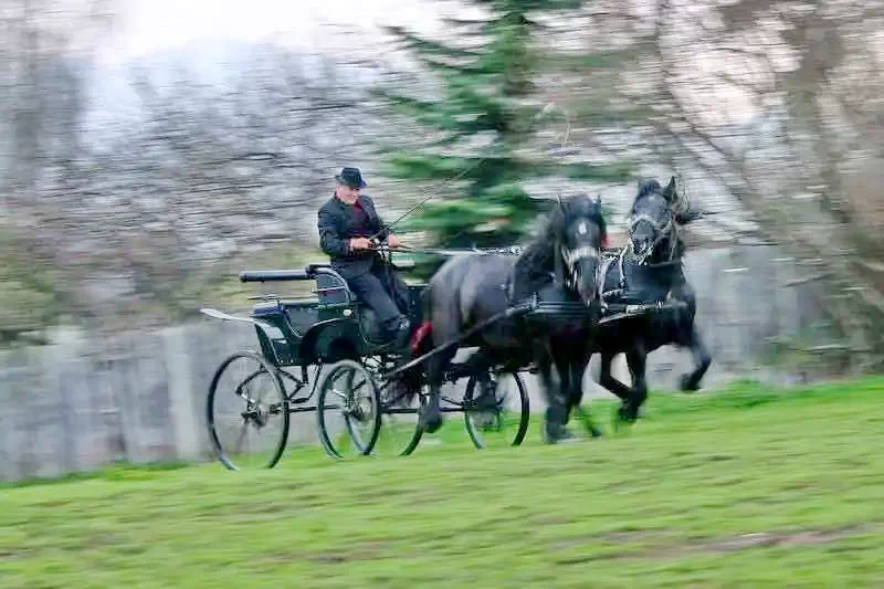 Gyergyószentmiklós Szállás | Motel (K0189-22) A kép szerzői jogvédelem alatt állhat. Javasolt a kapcsolatfelvétel a jog tulajdonossal.