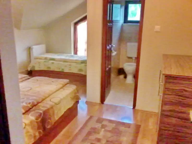 Gheorgheni Cazare | Sat de vacanță (K0307-11) Imaginea poate fi supusă drepturilor de autor. Se recomandă contactarea titularului drepturilor.