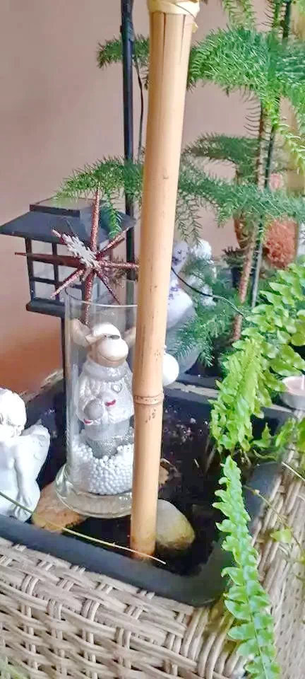 Gyergyószentmiklós Szállás | Kulcsosház (K0623-15) A kép szerzői jogvédelem alatt állhat. Javasolt a kapcsolatfelvétel a jog tulajdonossal.