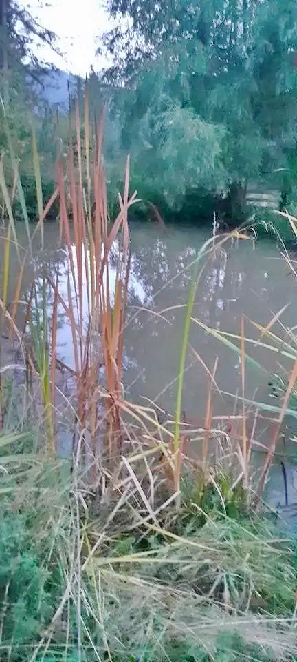 Gheorgheni Cazare | Cabană (K0623-22) Imaginea poate fi supusă drepturilor de autor. Se recomandă contactarea titularului drepturilor.