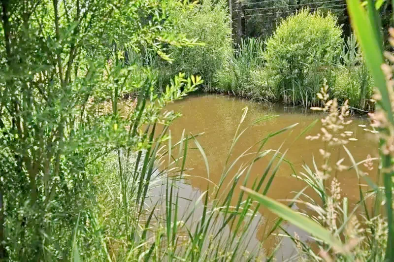 Gheorgheni Cazare | Sat de vacanță (K0623-23) Imaginea poate fi supusă drepturilor de autor. Se recomandă contactarea titularului drepturilor.