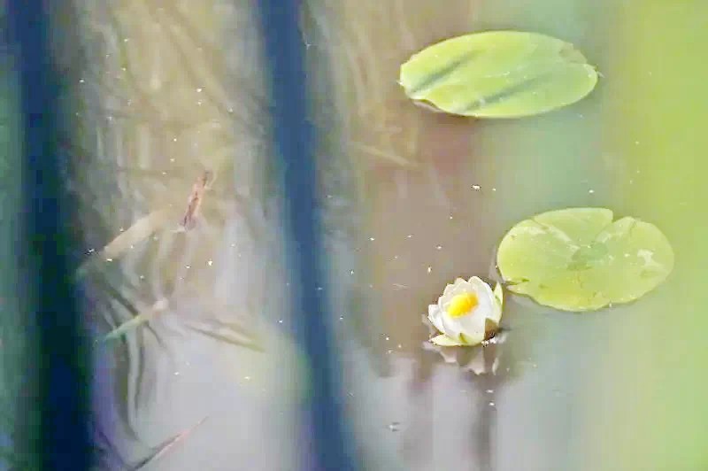 Gyergyószentmiklós Szállás | Üdülőfalu (K0623-24) A kép szerzői jogvédelem alatt állhat. Javasolt a kapcsolatfelvétel a jog tulajdonossal.