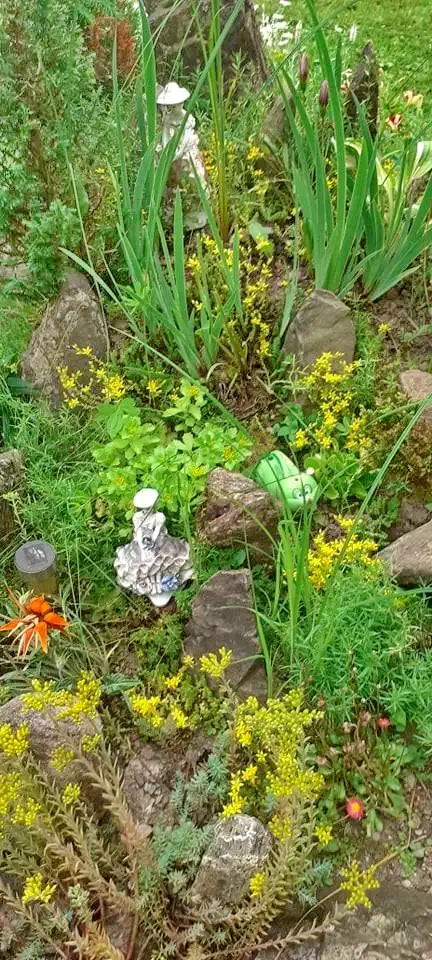 Gheorgheni Cazare | Cabană (K0623-26) Imaginea poate fi supusă drepturilor de autor. Se recomandă contactarea titularului drepturilor.