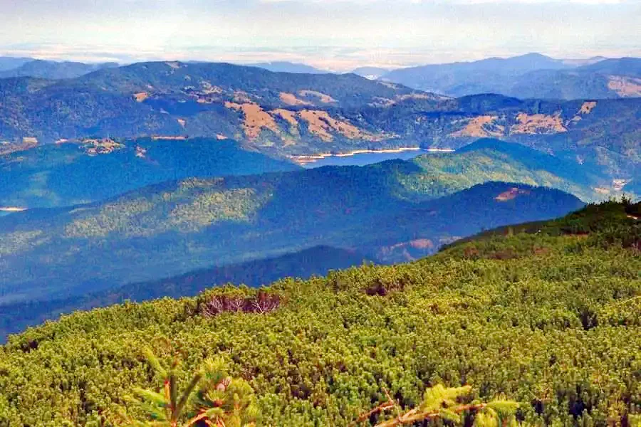 Gyergyószentmiklós Szállás | Motel (K1293-49) A kép szerzői jogvédelem alatt állhat. Javasolt a kapcsolatfelvétel a jog tulajdonossal.