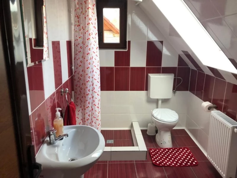 Viștea Cazare | Hotel**** (K1454-21) Imaginea poate fi supusă drepturilor de autor. Se recomandă contactarea titularului drepturilor.