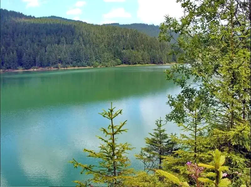 Frumoasa Cazare | Hotel**** (K1121-30) Imaginea poate fi supusă drepturilor de autor. Se recomandă contactarea titularului drepturilor.