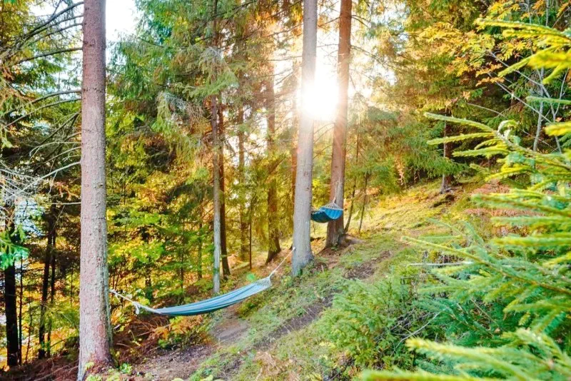 Jósikafalva Szállás | Motel (K0454-29) A kép szerzői jogvédelem alatt állhat. Javasolt a kapcsolatfelvétel a jog tulajdonossal.