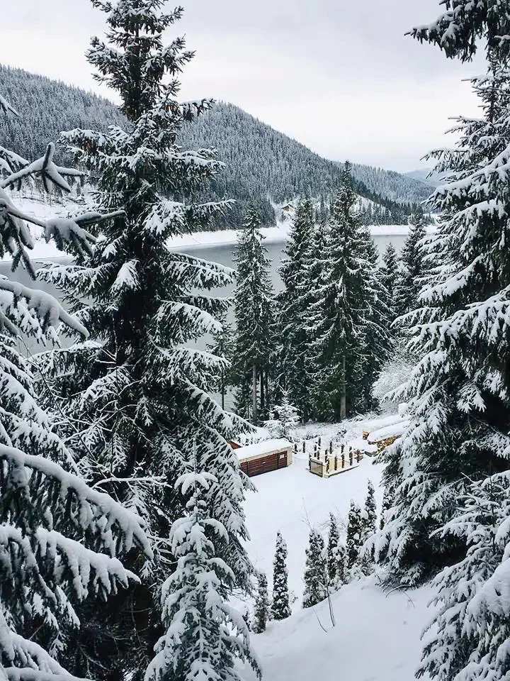 Beliș Cazare | Motel (K0454-31) Imaginea poate fi supusă drepturilor de autor. Se recomandă contactarea titularului drepturilor.