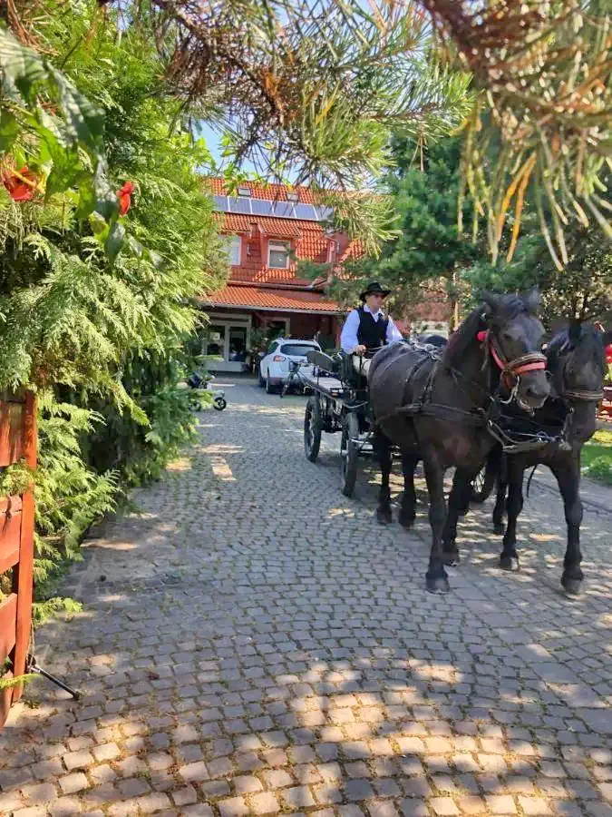 Székelyudvarhely Szállás | Motel (K0091-48) A kép szerzői jogvédelem alatt állhat. Javasolt a kapcsolatfelvétel a jog tulajdonossal.