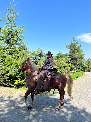 Székelyudvarhely Szállás | Panzió (K0091-51) A kép szerzői jogvédelem alatt állhat. Javasolt a kapcsolatfelvétel a jog tulajdonossal. Székelyudvarhely Szállás | Panzió (K0091-51) A kép szerzői jogvédelem alatt állhat. Javasolt a kapcsolatfelvétel a jog tulajdonossal.