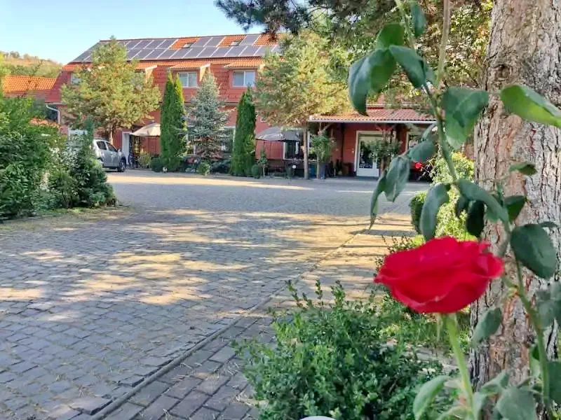 Székelyudvarhely Szállás | Panzió (K0091-61) A kép szerzői jogvédelem alatt állhat. Javasolt a kapcsolatfelvétel a jog tulajdonossal. Székelyudvarhely Szállás | Panzió (K0091-61) A kép szerzői jogvédelem alatt állhat. Javasolt a kapcsolatfelvétel a jog tulajdonossal.