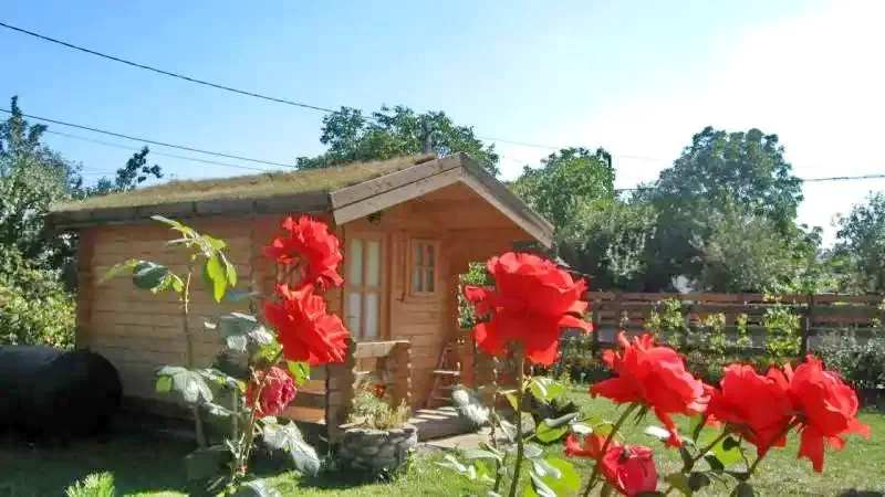 Odorheiu Secuiesc Cazare | Motel (K0091-66) Imaginea poate fi supusă drepturilor de autor. Se recomandă contactarea titularului drepturilor.