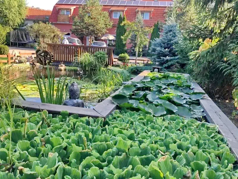 Székelyudvarhely Szállás | Motel (K0091-67) A kép szerzői jogvédelem alatt állhat. Javasolt a kapcsolatfelvétel a jog tulajdonossal.