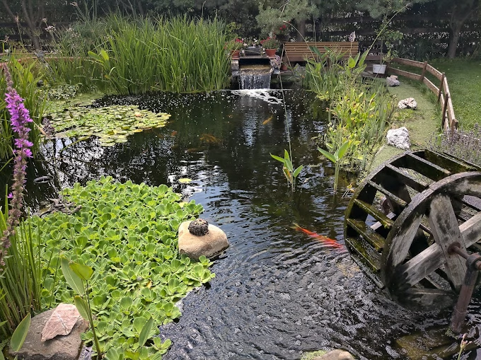 Székelyudvarhely Szállás | Motel (K0091-70) A kép szerzői jogvédelem alatt állhat. Javasolt a kapcsolatfelvétel a jog tulajdonossal.