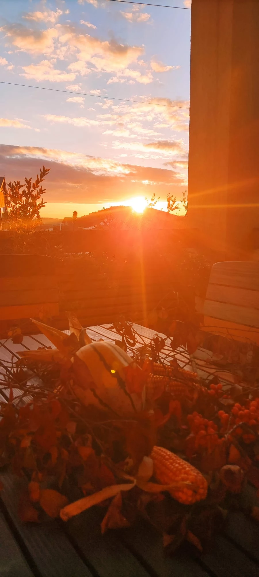 Székelyudvarhely Szállás | Motel (K0370-32) A kép szerzői jogvédelem alatt állhat. Javasolt a kapcsolatfelvétel a jog tulajdonossal.