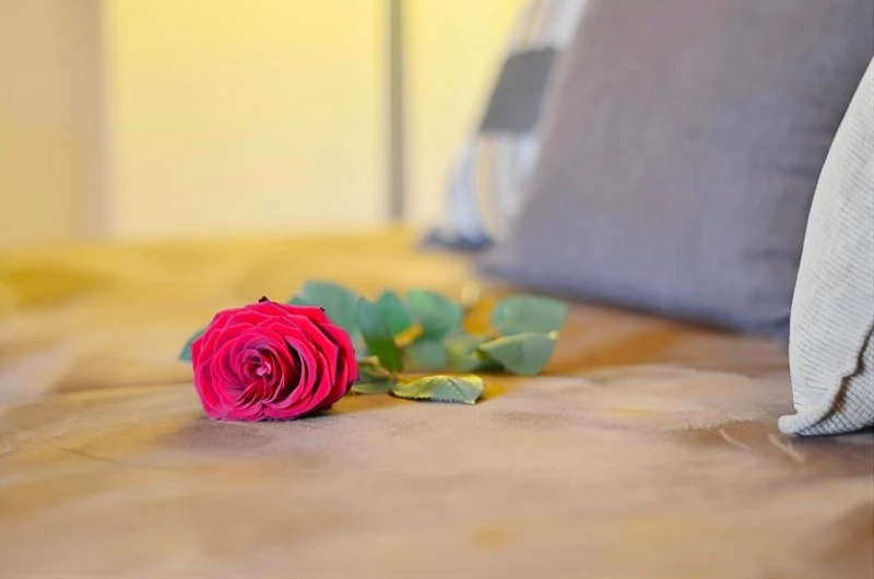 Odorheiu Secuiesc Cazare | Hotel**** (K0756-20) Imaginea poate fi supusă drepturilor de autor. Se recomandă contactarea titularului drepturilor. Odorheiu Secuiesc Cazare | Hotel**** (K0756-20) Imaginea poate fi supusă drepturilor de autor. Se recomandă contactarea titularului drepturilor.