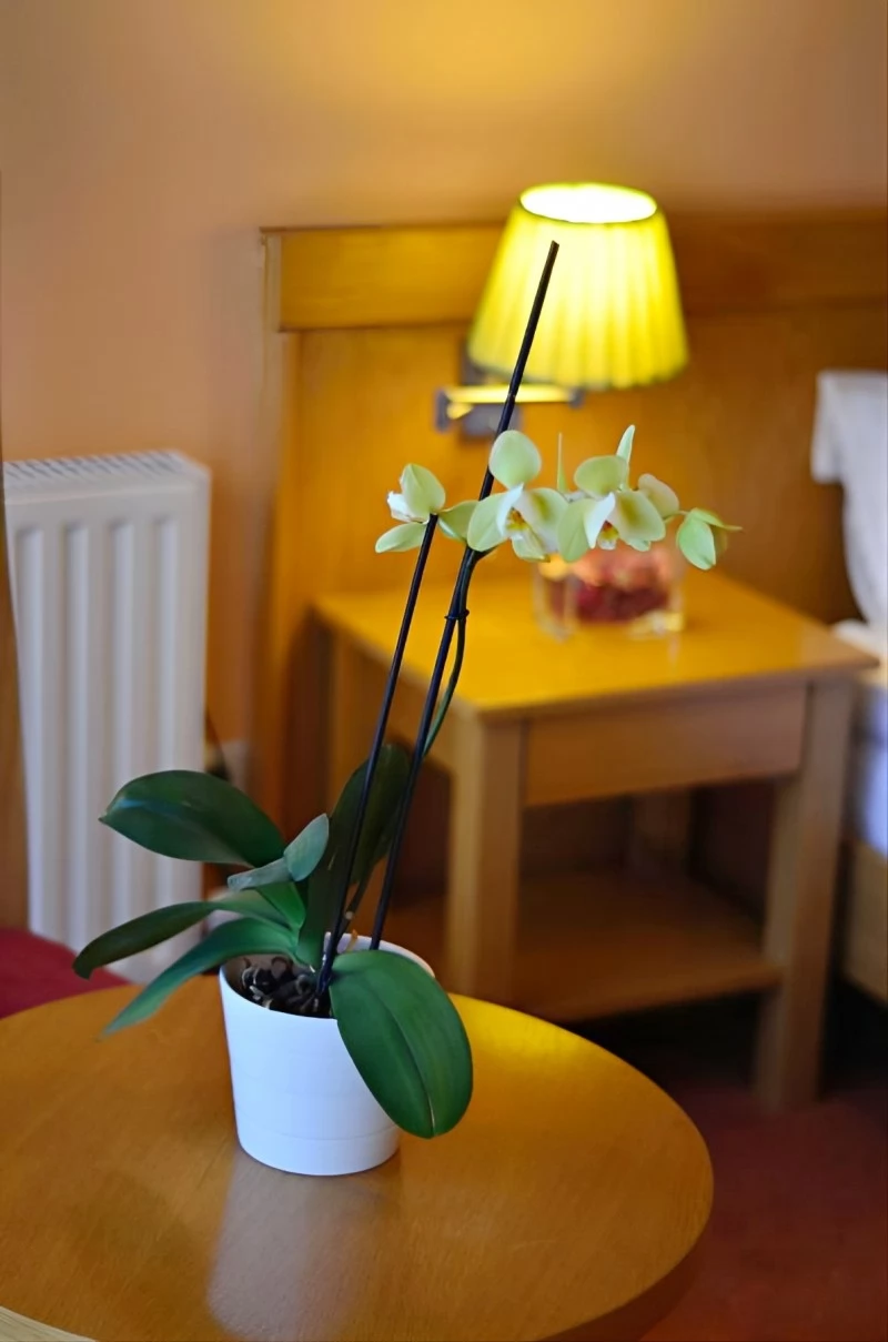 Cazare Odorheiu Secuiesc - Hotel Gondűző**** | Székelyudvarhely - Gondűző Szálló ****. Imaginea poate fi supusă drepturilor de autor. Se recomandă contactarea titularului drepturilor.