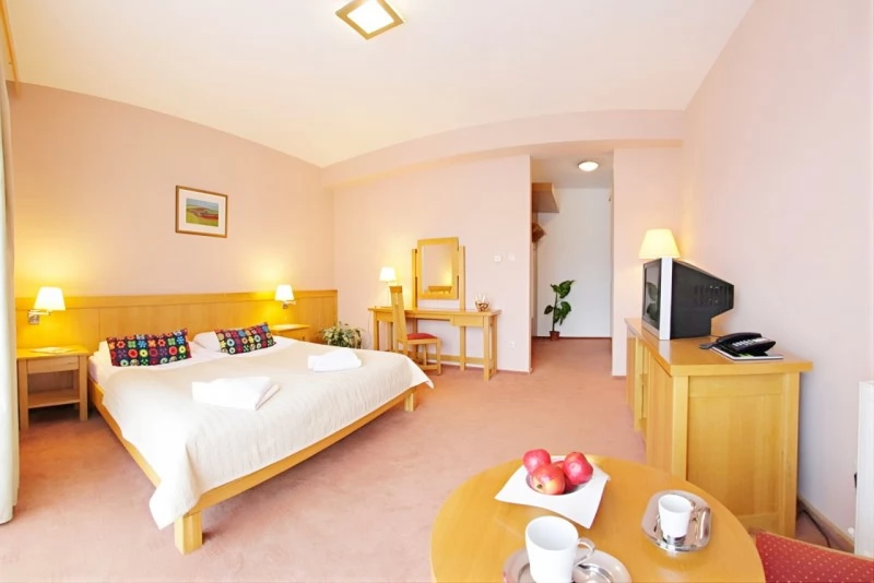 Cazare Odorheiu Secuiesc - Hotel Gondűző**** | Székelyudvarhely - Gondűző Szálló ****. Imaginea poate fi supusă drepturilor de autor. Se recomandă contactarea titularului drepturilor.