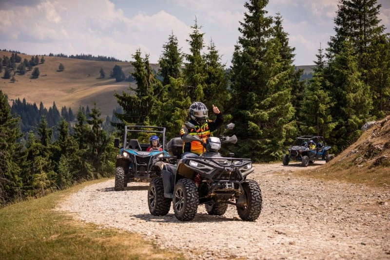 Cazare Padiș - Cabanele Five Chalets | Pádis - Five Chalets Kulcsosházak . Imaginea poate fi supusă drepturilor de autor. Se recomandă contactarea titularului drepturilor.